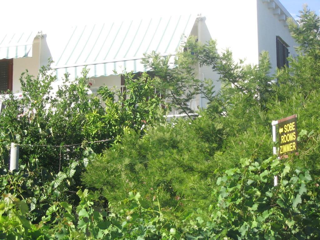 Guest House Kola Slano Exterior foto